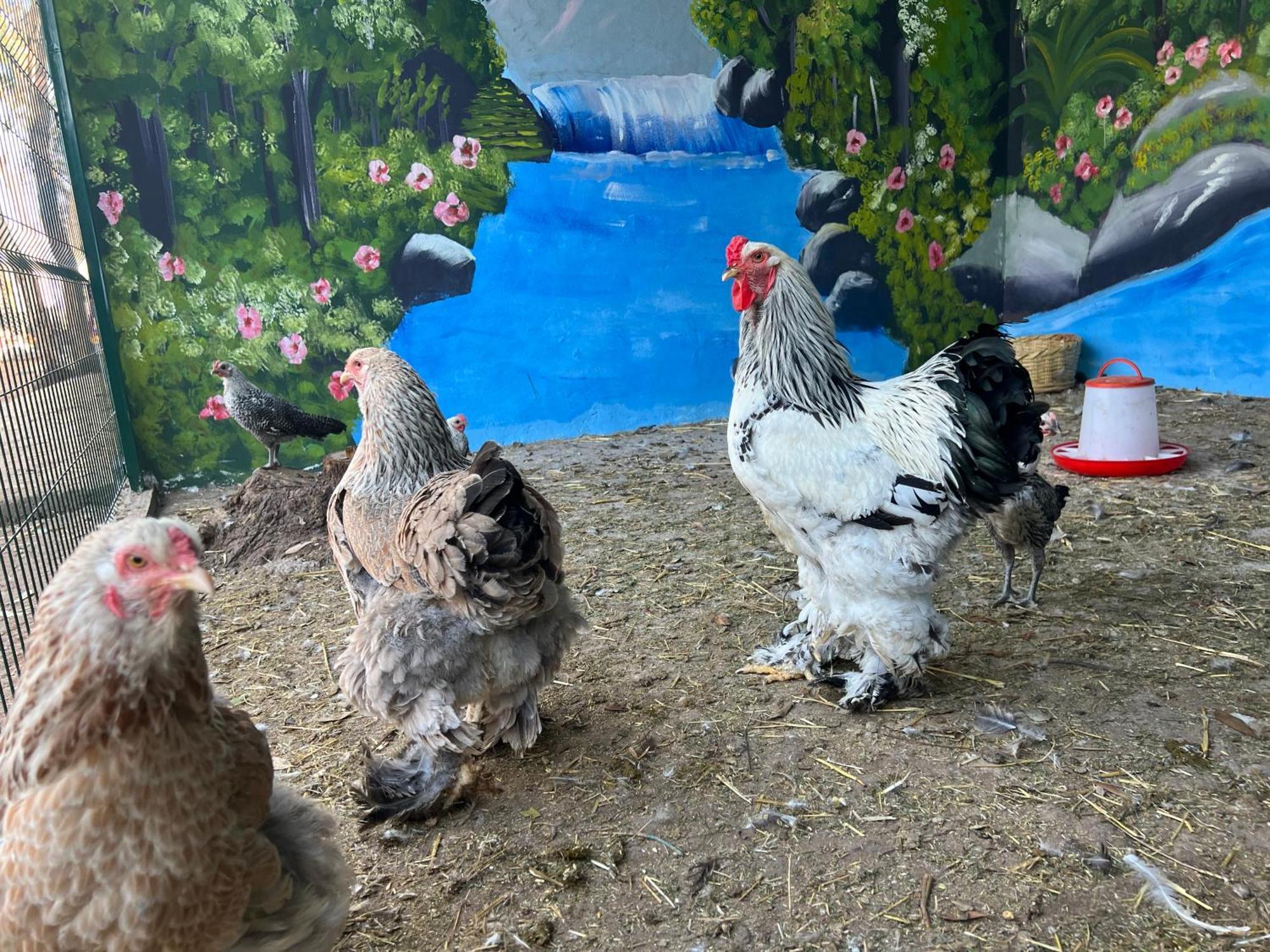 Maison De Campagne Dar Said Ben Hajj エクステリア 写真
